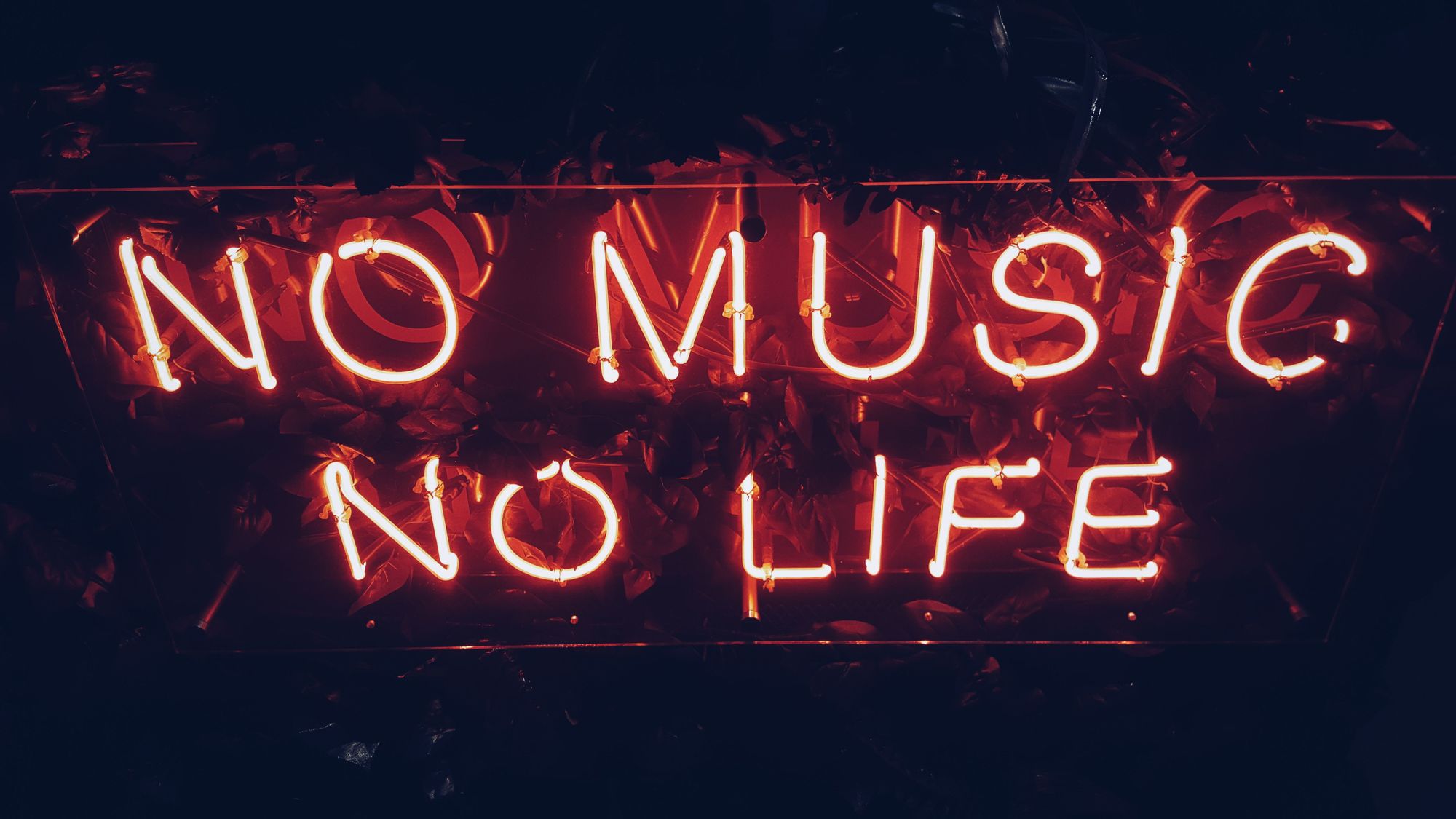 no love no life wallpapers